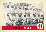 Habana Leones Vintage Ball Premium Tee