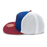 BALTIMORE ELITE GIANTS DUGOUT TRUCKER SNAPBACK