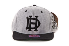 House of David Grey Two Tone Snapback